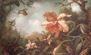Martin Johnson Heade The Hummingbirds and Two Varieties of Orchids Sweden oil painting reproduction